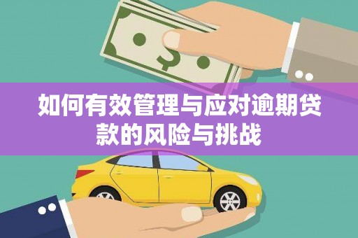 巨野如何有效管理与应对逾期贷款的风险与挑战