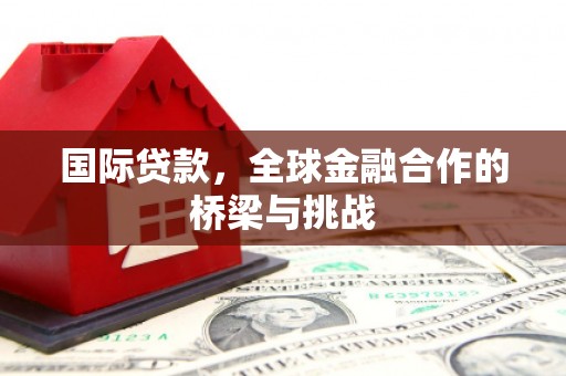 巨野国际贷款，全球金融合作的桥梁与挑战