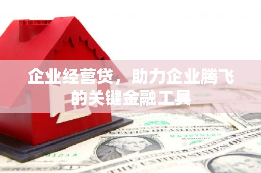 巨野企业经营贷，助力企业腾飞的关键金融工具