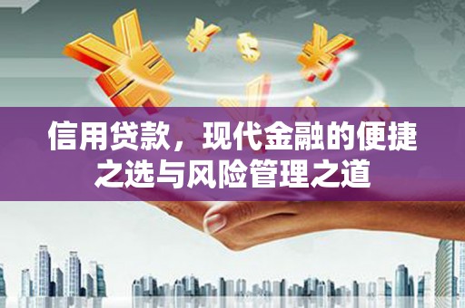 巨野信用贷款，现代金融的便捷之选与风险管理之道