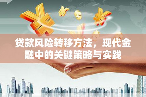 巨野贷款风险转移方法，现代金融中的关键策略与实践