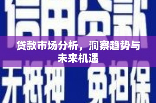 巨野贷款市场分析，洞察趋势与未来机遇