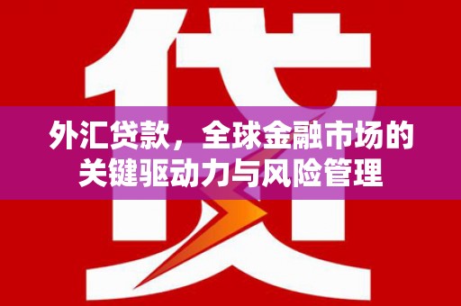 巨野外汇贷款，全球金融市场的关键驱动力与风险管理