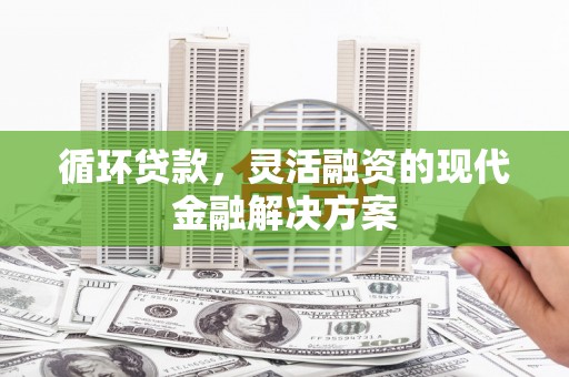 巨野循环贷款，灵活融资的现代金融解决方案