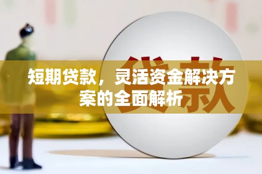 巨野短期贷款，灵活资金解决方案的全面解析