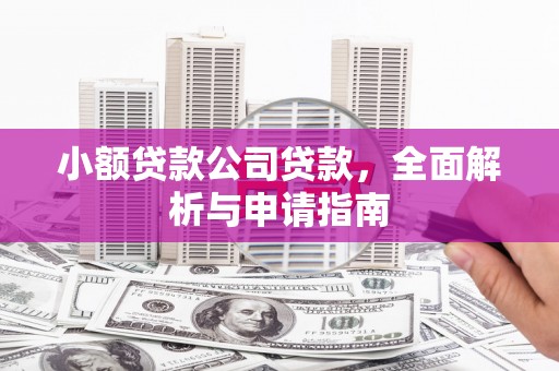 巨野小额贷款公司贷款，全面解析与申请指南