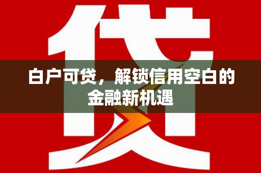 巨野白户可贷，解锁信用空白的金融新机遇