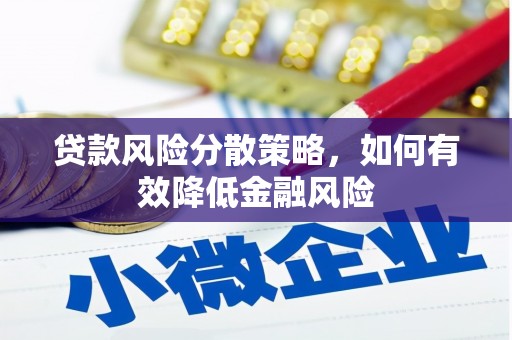 巨野贷款风险分散策略，如何有效降低金融风险