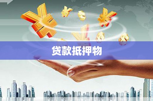 巨野贷款抵押物