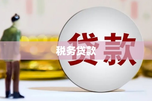 巨野税务贷款
