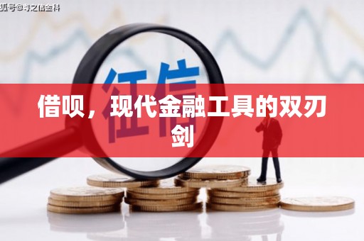 巨野借呗，现代金融工具的双刃剑