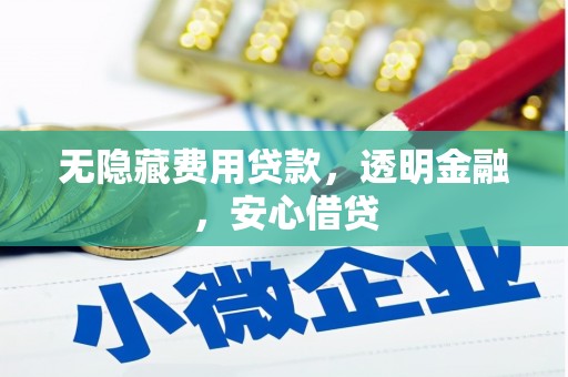 巨野无隐藏费用贷款，透明金融，安心借贷