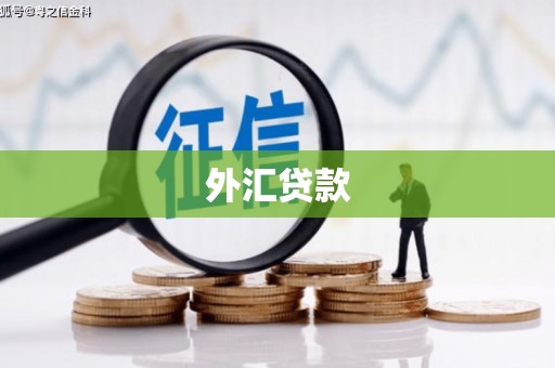 巨野外汇贷款
