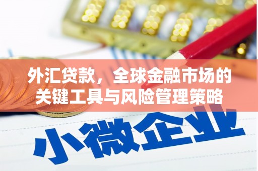 巨野外汇贷款，全球金融市场的关键工具与风险管理策略