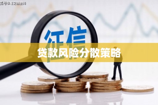 巨野贷款风险分散策略