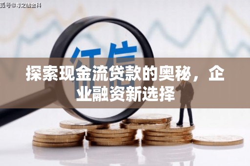 巨野探索现金流贷款的奥秘，企业融资新选择