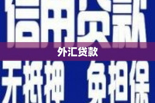 巨野外汇贷款