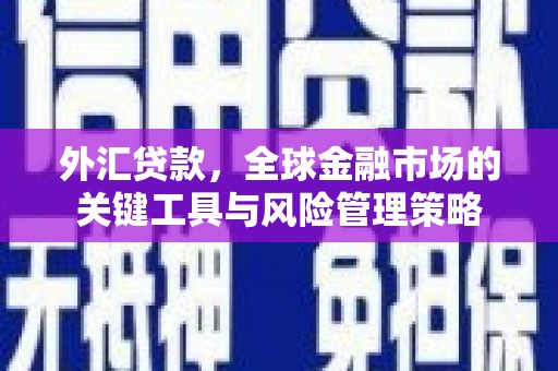 巨野外汇贷款，全球金融市场的关键工具与风险管理策略
