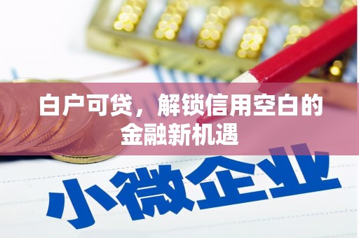 巨野白户可贷，解锁信用空白的金融新机遇