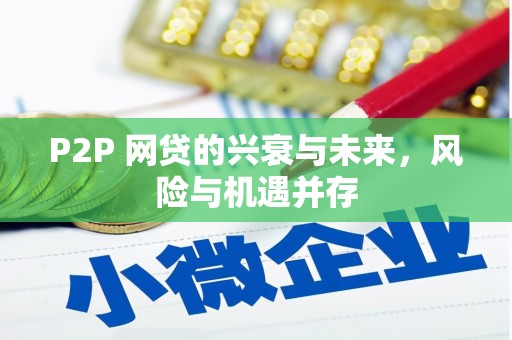 巨野P2P 网贷的兴衰与未来，风险与机遇并存