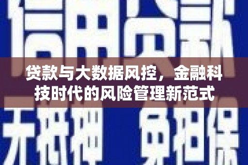 巨野贷款与大数据风控，金融科技时代的风险管理新范式
