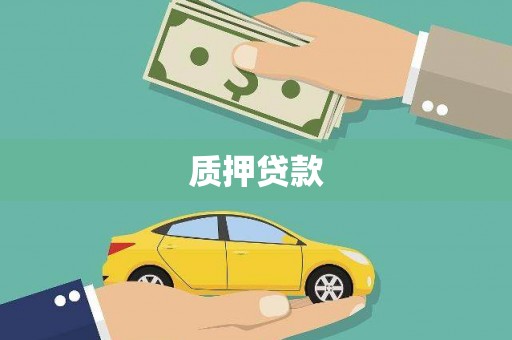 巨野质押贷款