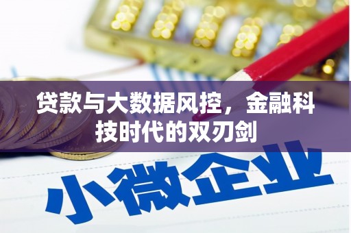 巨野贷款与大数据风控，金融科技时代的双刃剑