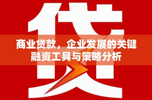 巨野商业贷款，企业发展的关键融资工具与策略分析