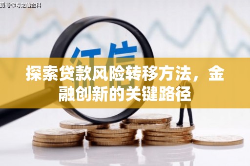 巨野探索贷款风险转移方法，金融创新的关键路径