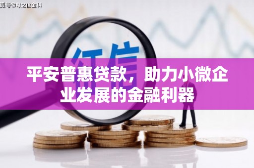 巨野平安普惠贷款，助力小微企业发展的金融利器