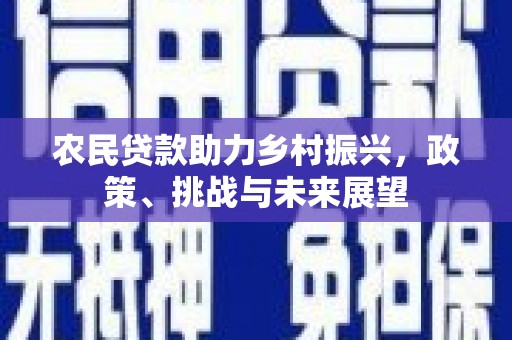 巨野农民贷款助力乡村振兴，政策、挑战与未来展望
