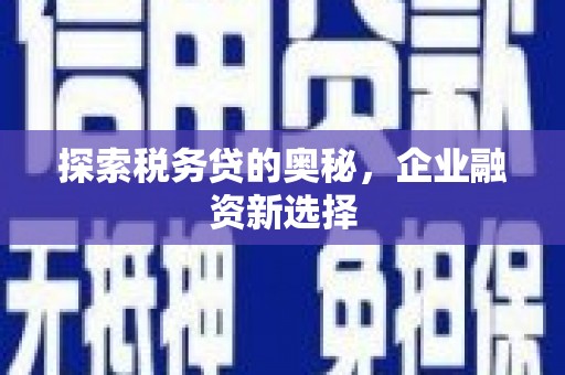 巨野探索税务贷的奥秘，企业融资新选择