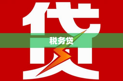 巨野税务贷