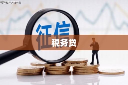 巨野税务贷