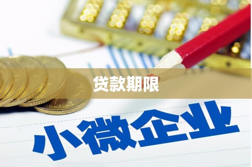 巨野贷款期限