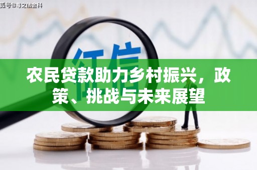 巨野农民贷款助力乡村振兴，政策、挑战与未来展望
