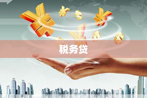 巨野税务贷