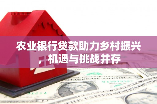 巨野农业银行贷款助力乡村振兴，机遇与挑战并存