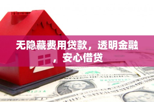 巨野无隐藏费用贷款，透明金融，安心借贷