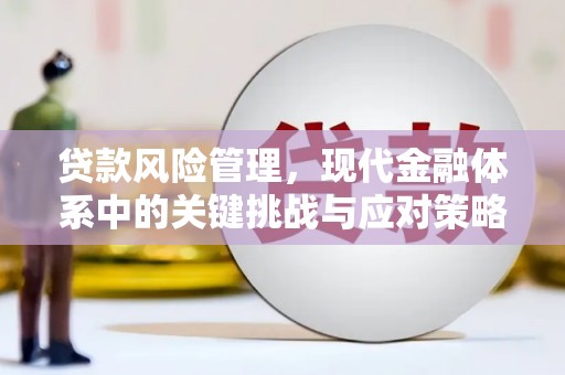 巨野贷款风险管理，现代金融体系中的关键挑战与应对策略