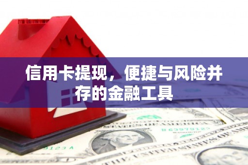 巨野信用卡提现，便捷与风险并存的金融工具