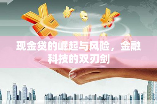 巨野现金贷的崛起与风险，金融科技的双刃剑