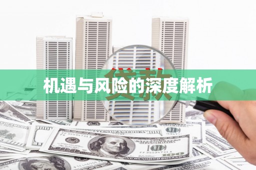 巨野机遇与风险的深度解析