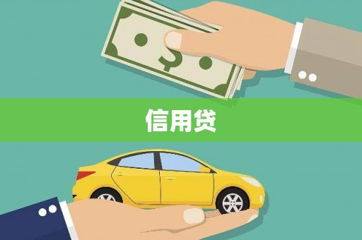 巨野信用贷