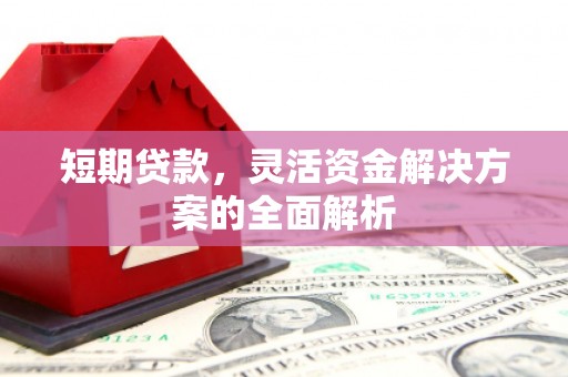 巨野短期贷款，灵活资金解决方案的全面解析