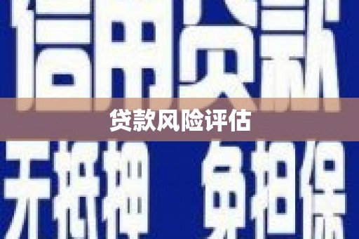 巨野贷款风险评估