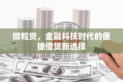 巨野微粒贷，金融科技时代的便捷借贷新选择