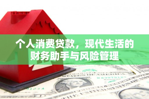 巨野个人消费贷款，现代生活的财务助手与风险管理