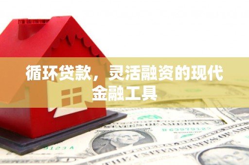 巨野循环贷款，灵活融资的现代金融工具