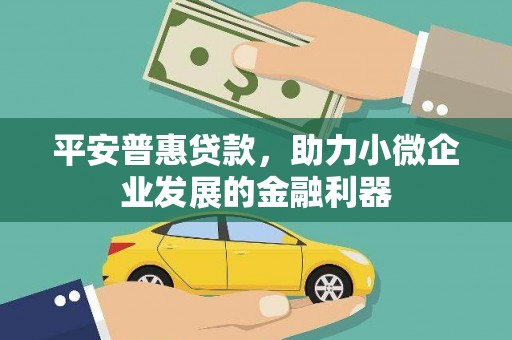 巨野平安普惠贷款，助力小微企业发展的金融利器